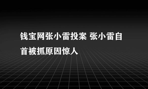 钱宝网张小雷投案 张小雷自首被抓原因惊人