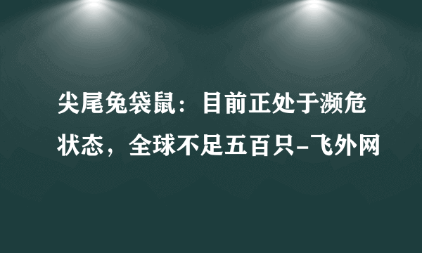 尖尾兔袋鼠：目前正处于濒危状态，全球不足五百只-飞外网