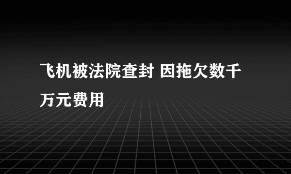 飞机被法院查封 因拖欠数千万元费用