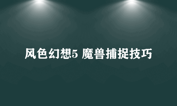 风色幻想5 魔兽捕捉技巧