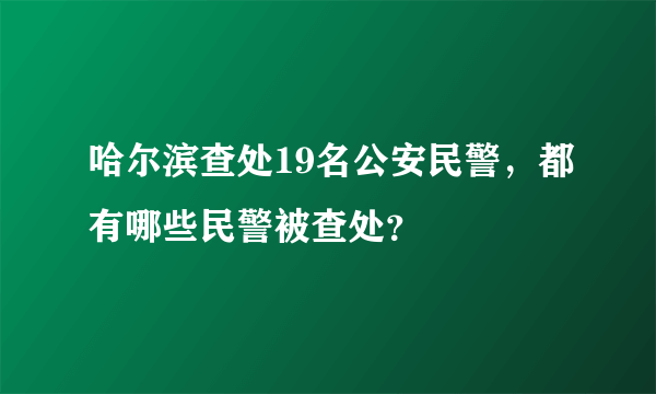 哈尔滨查处19名公安民警，都有哪些民警被查处？