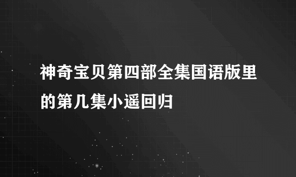 神奇宝贝第四部全集国语版里的第几集小遥回归