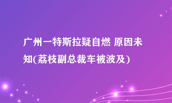 广州一特斯拉疑自燃 原因未知(荔枝副总裁车被波及)