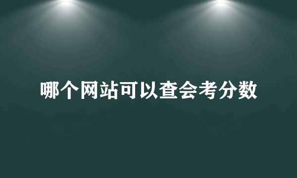 哪个网站可以查会考分数