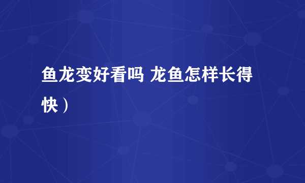 鱼龙变好看吗 龙鱼怎样长得快）