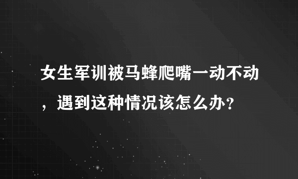 女生军训被马蜂爬嘴一动不动，遇到这种情况该怎么办？