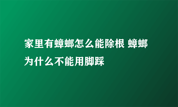 家里有蟑螂怎么能除根 蟑螂为什么不能用脚踩