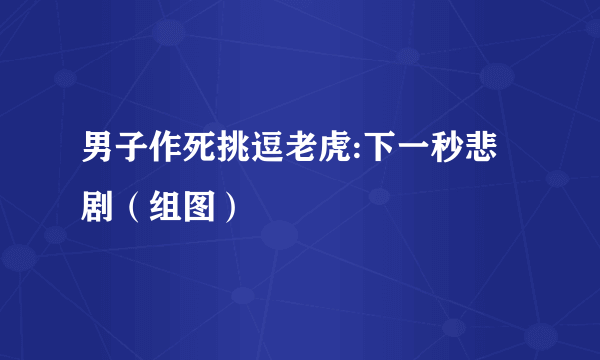 男子作死挑逗老虎:下一秒悲剧（组图）