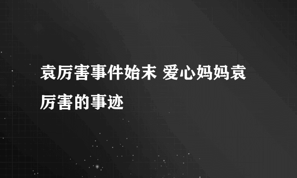 袁厉害事件始末 爱心妈妈袁厉害的事迹