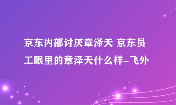 京东内部讨厌章泽天 京东员工眼里的章泽天什么样-飞外