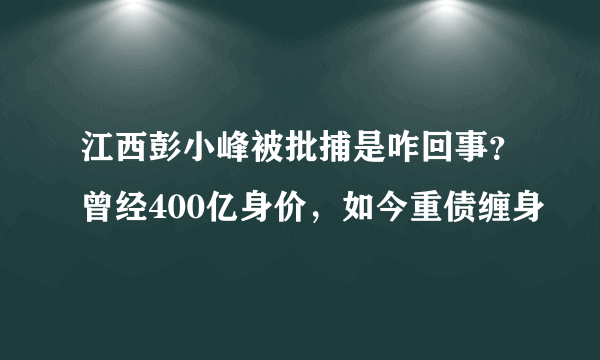 江西彭小峰被批捕是咋回事？曾经400亿身价，如今重债缠身