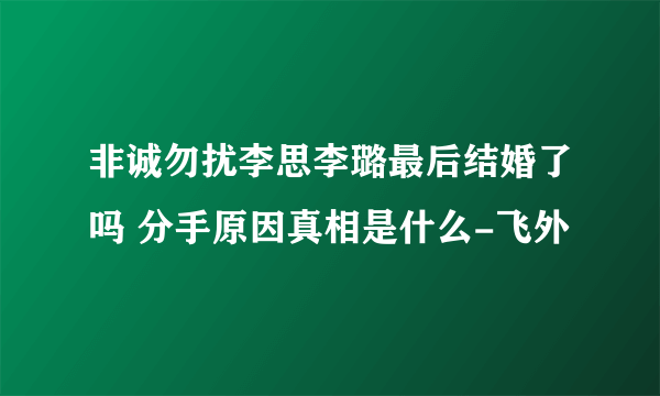 非诚勿扰李思李璐最后结婚了吗 分手原因真相是什么-飞外