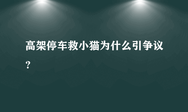 高架停车救小猫为什么引争议？