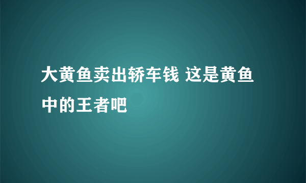 大黄鱼卖出轿车钱 这是黄鱼中的王者吧