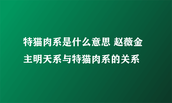 特猫肉系是什么意思 赵薇金主明天系与特猫肉系的关系