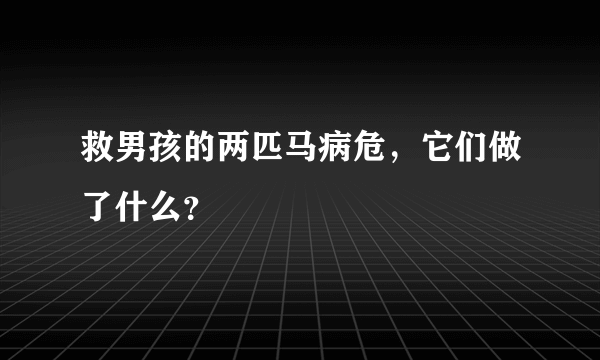 救男孩的两匹马病危，它们做了什么？