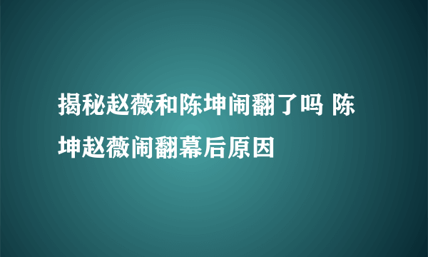 揭秘赵薇和陈坤闹翻了吗 陈坤赵薇闹翻幕后原因