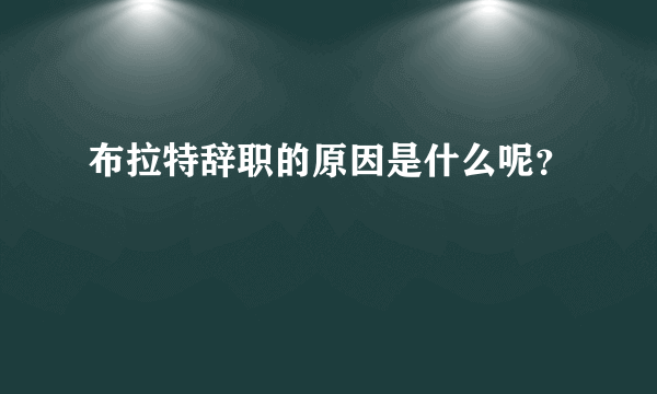 布拉特辞职的原因是什么呢？