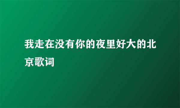 我走在没有你的夜里好大的北京歌词