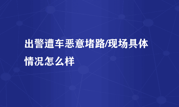 出警遭车恶意堵路/现场具体情况怎么样