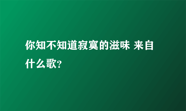 你知不知道寂寞的滋味 来自什么歌？