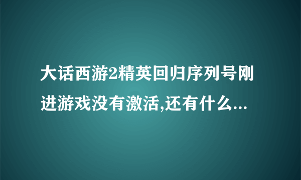 大话西游2精英回归序列号刚进游戏没有激活,还有什么办法可以激活?