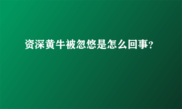 资深黄牛被忽悠是怎么回事？