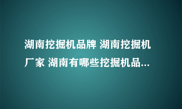 湖南挖掘机品牌 湖南挖掘机厂家 湖南有哪些挖掘机品牌【品牌库】