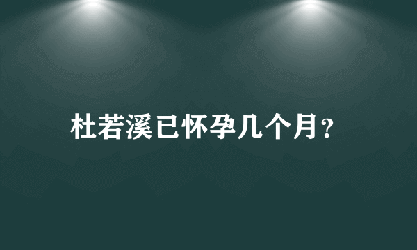 杜若溪已怀孕几个月？