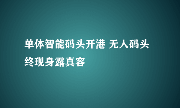 单体智能码头开港 无人码头终现身露真容