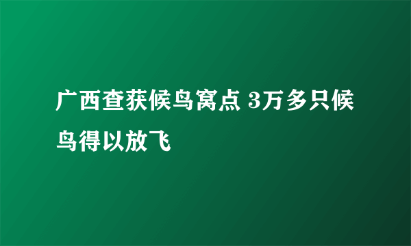 广西查获候鸟窝点 3万多只候鸟得以放飞