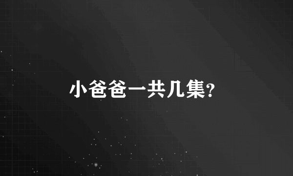 小爸爸一共几集？