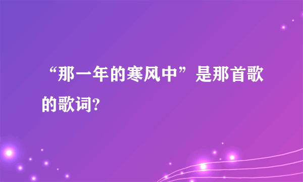 “那一年的寒风中”是那首歌的歌词?