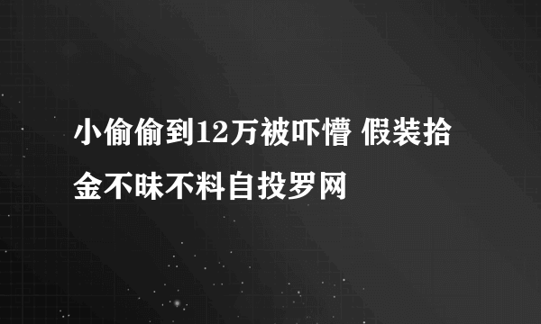 小偷偷到12万被吓懵 假装拾金不昧不料自投罗网