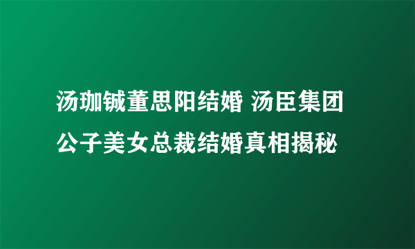 汤珈铖董思阳结婚 汤臣集团公子美女总裁结婚真相揭秘