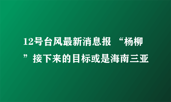 12号台风最新消息报 “杨柳”接下来的目标或是海南三亚