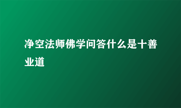 净空法师佛学问答什么是十善业道