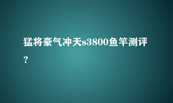 猛将豪气冲天s3800鱼竿测评？