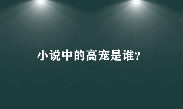 小说中的高宠是谁？