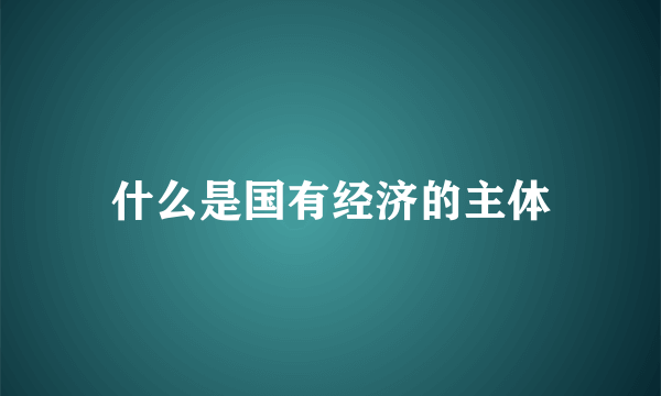 什么是国有经济的主体