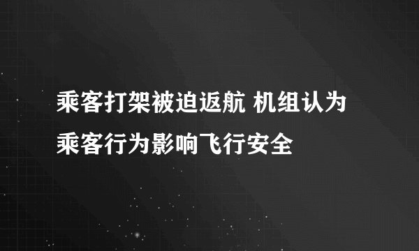 乘客打架被迫返航 机组认为乘客行为影响飞行安全