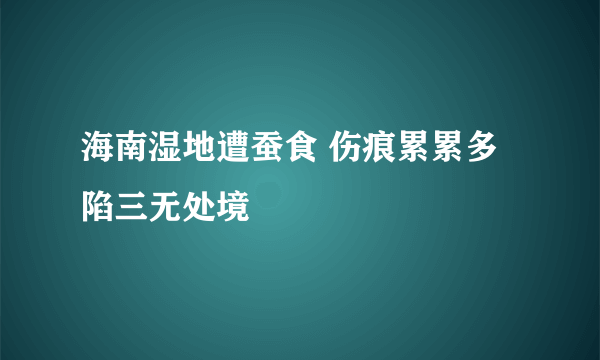 海南湿地遭蚕食 伤痕累累多陷三无处境