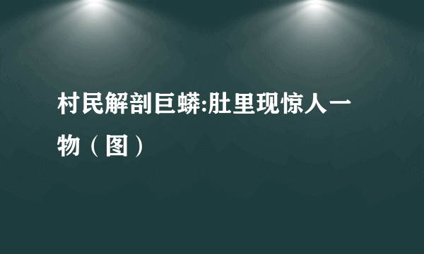 村民解剖巨蟒:肚里现惊人一物（图）