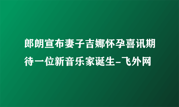 郎朗宣布妻子吉娜怀孕喜讯期待一位新音乐家诞生-飞外网