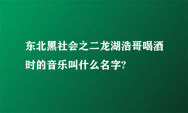 东北黑社会之二龙湖浩哥喝酒时的音乐叫什么名字?