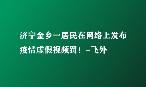 济宁金乡一居民在网络上发布疫情虚假视频罚！-飞外