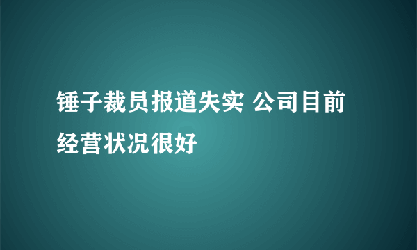 锤子裁员报道失实 公司目前经营状况很好