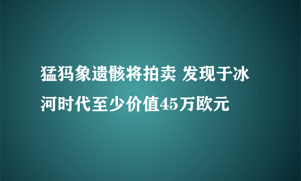 猛犸象遗骸将拍卖 发现于冰河时代至少价值45万欧元