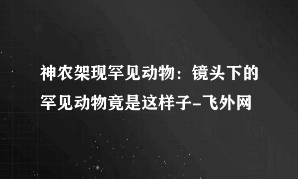 神农架现罕见动物：镜头下的罕见动物竟是这样子-飞外网