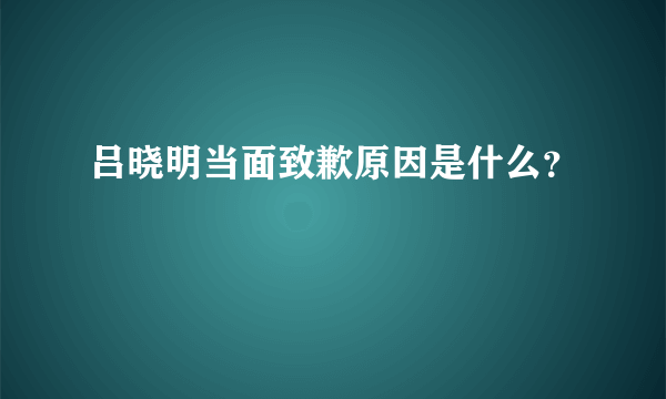 吕晓明当面致歉原因是什么？